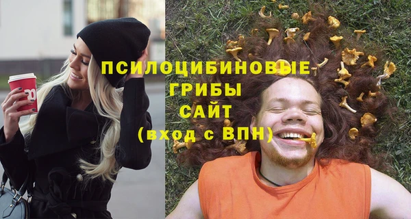крисы Аркадак
