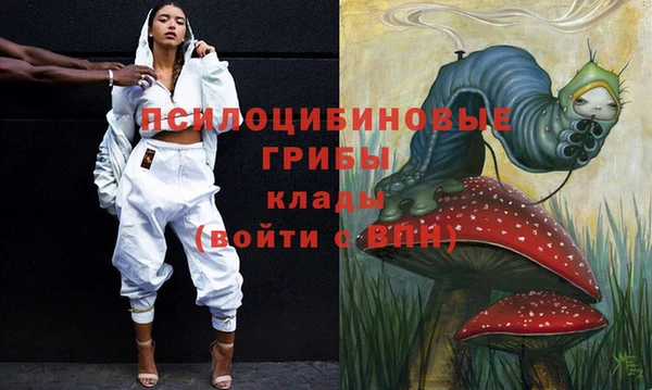 крисы Аркадак