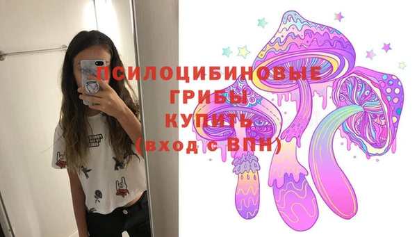 прущие грибы Арсеньев