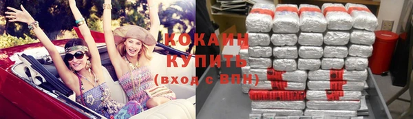 прущие грибы Арсеньев